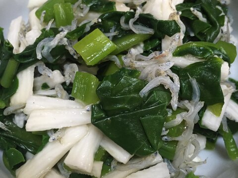 小松菜とジャコと長芋の和え物